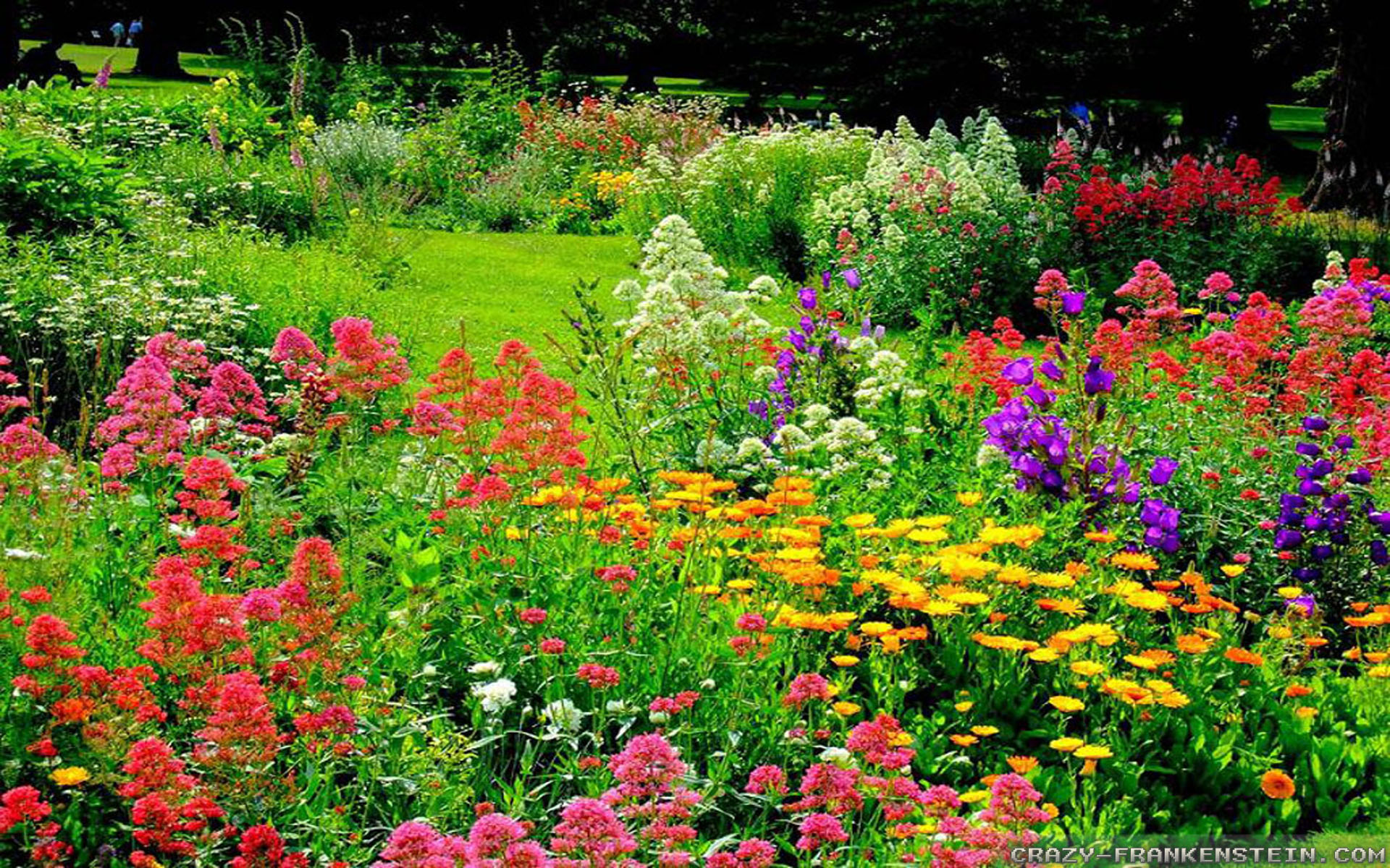 Beautiful Flower Garden Wallpapers