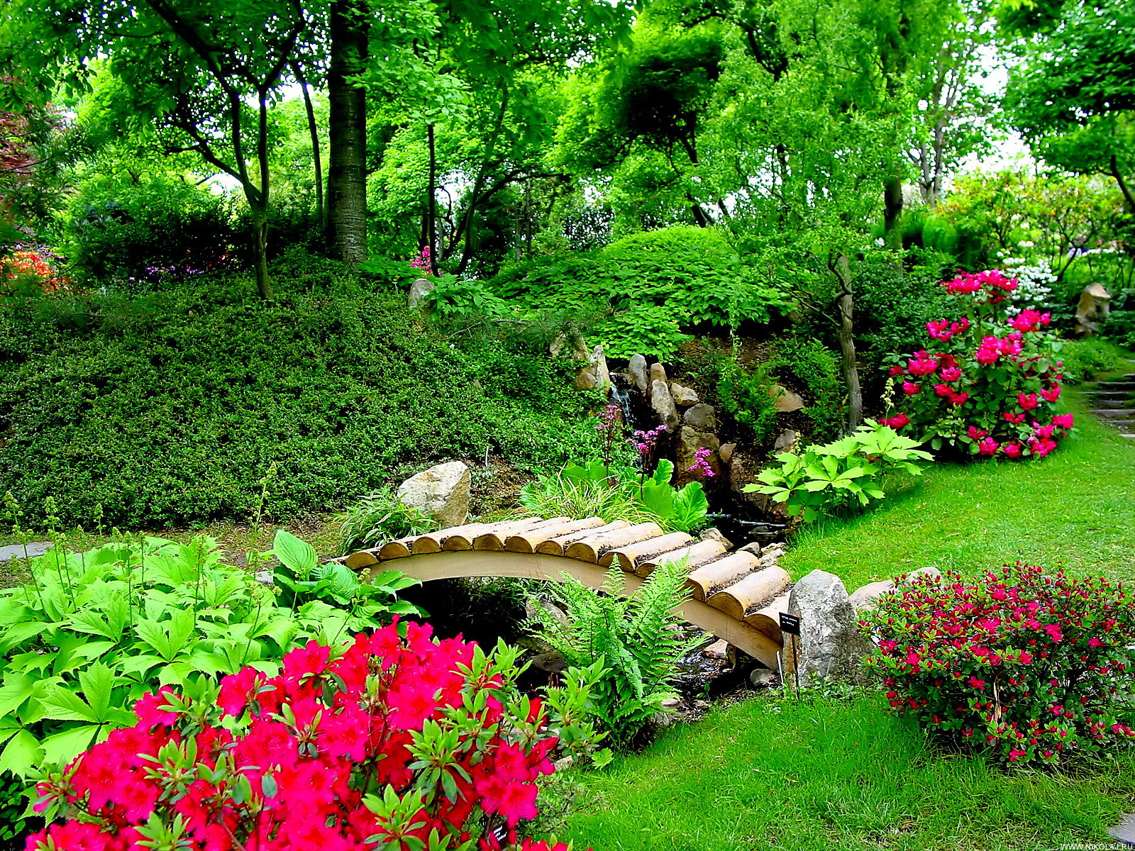 Beautiful Flower Garden Wallpapers