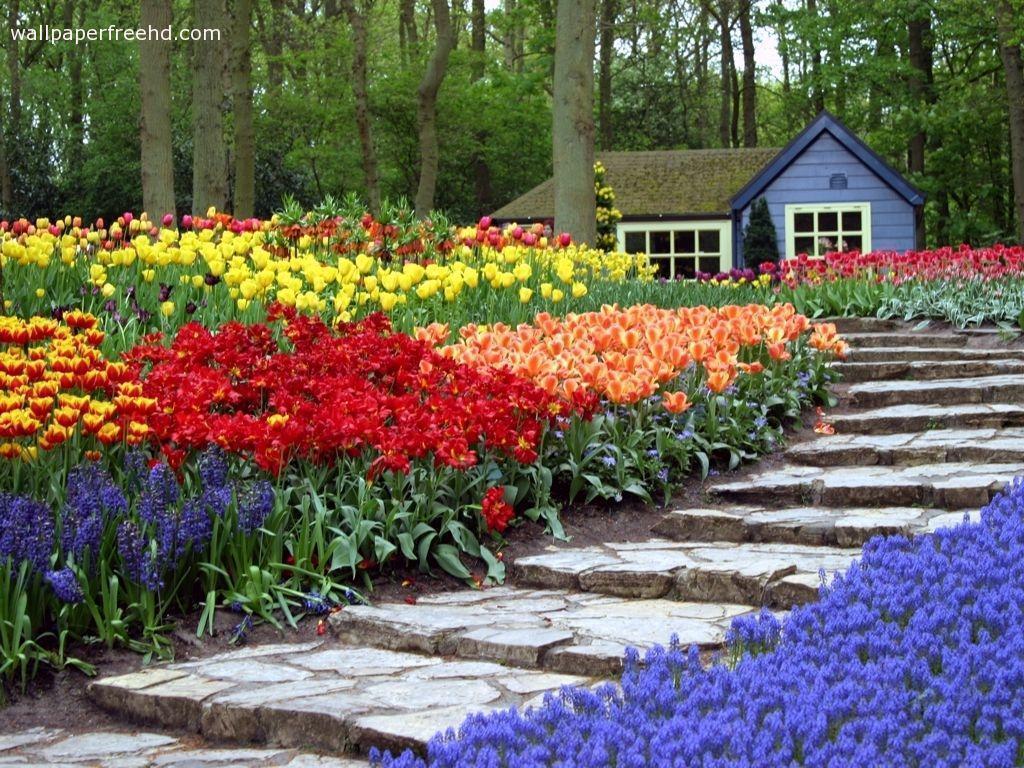 Beautiful Flower Garden Wallpapers