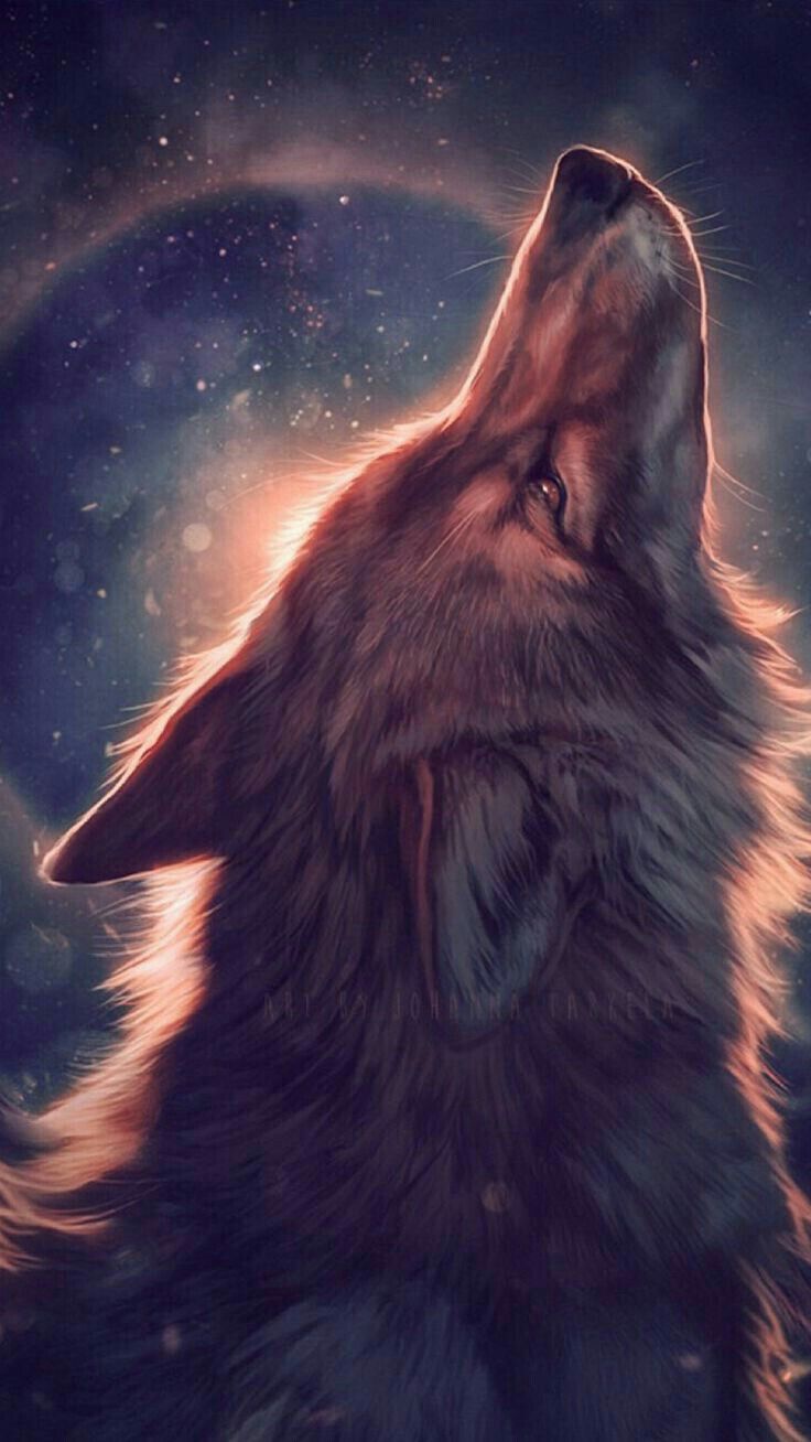 Beautiful Fox Wallpapers