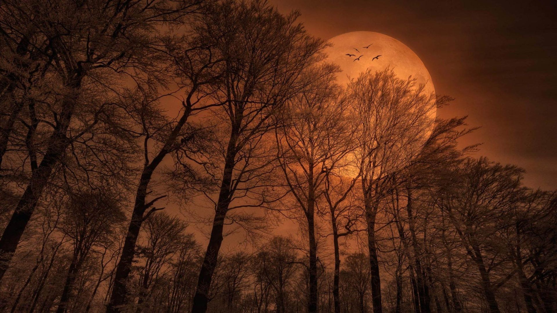 Beautiful Full Moon Wallpapers