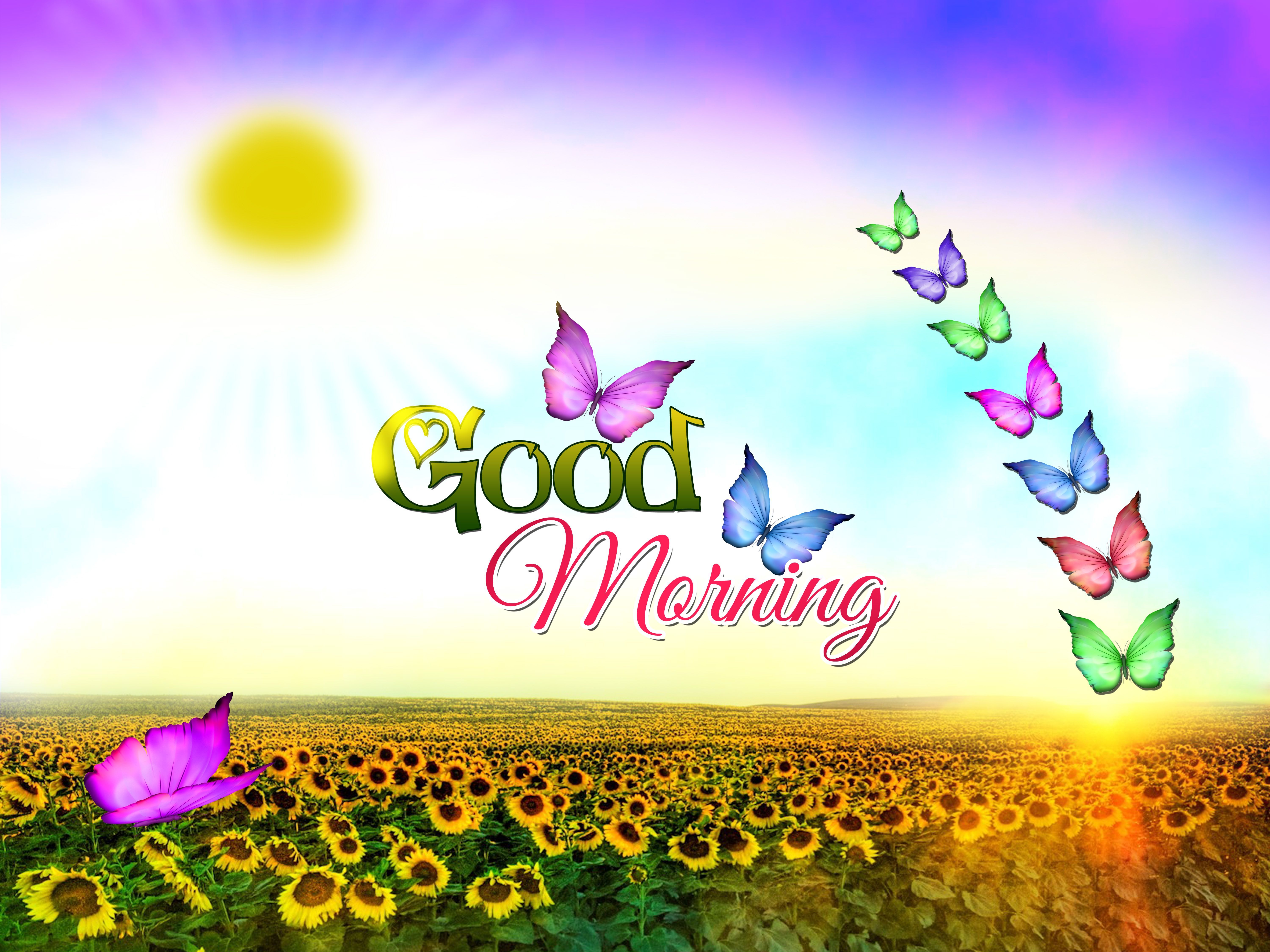 Beautiful Good Morning Hd Wallpapers