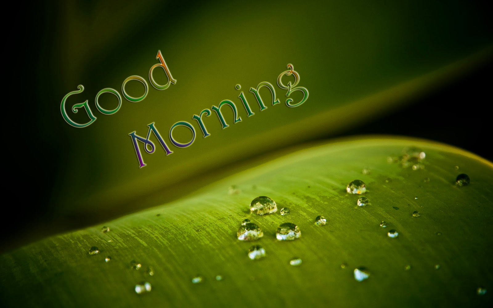 Beautiful Good Morning Hd Wallpapers