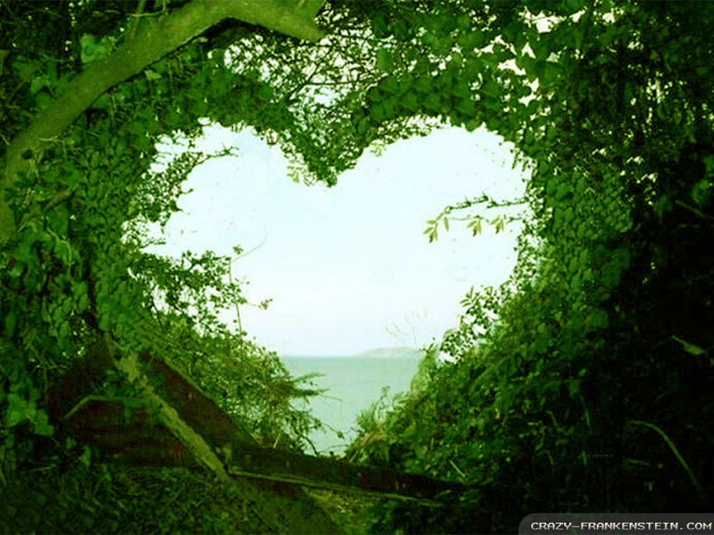 Beautiful Green Heart Wallpapers