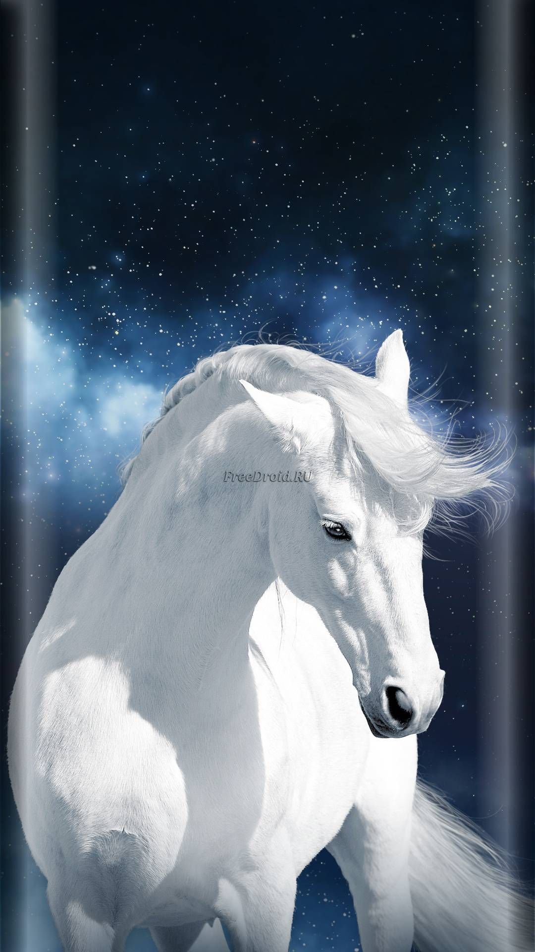 Beautiful Horse Iphone Wallpapers