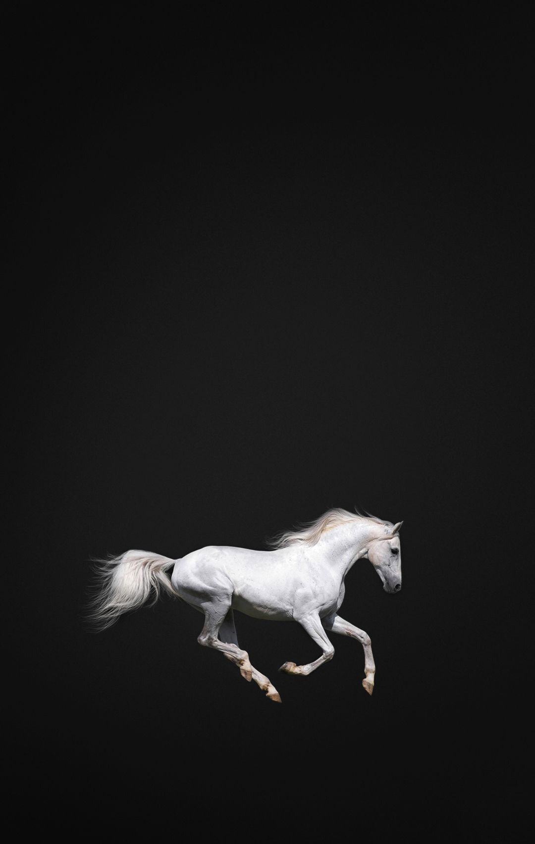 Beautiful Horse Iphone Wallpapers