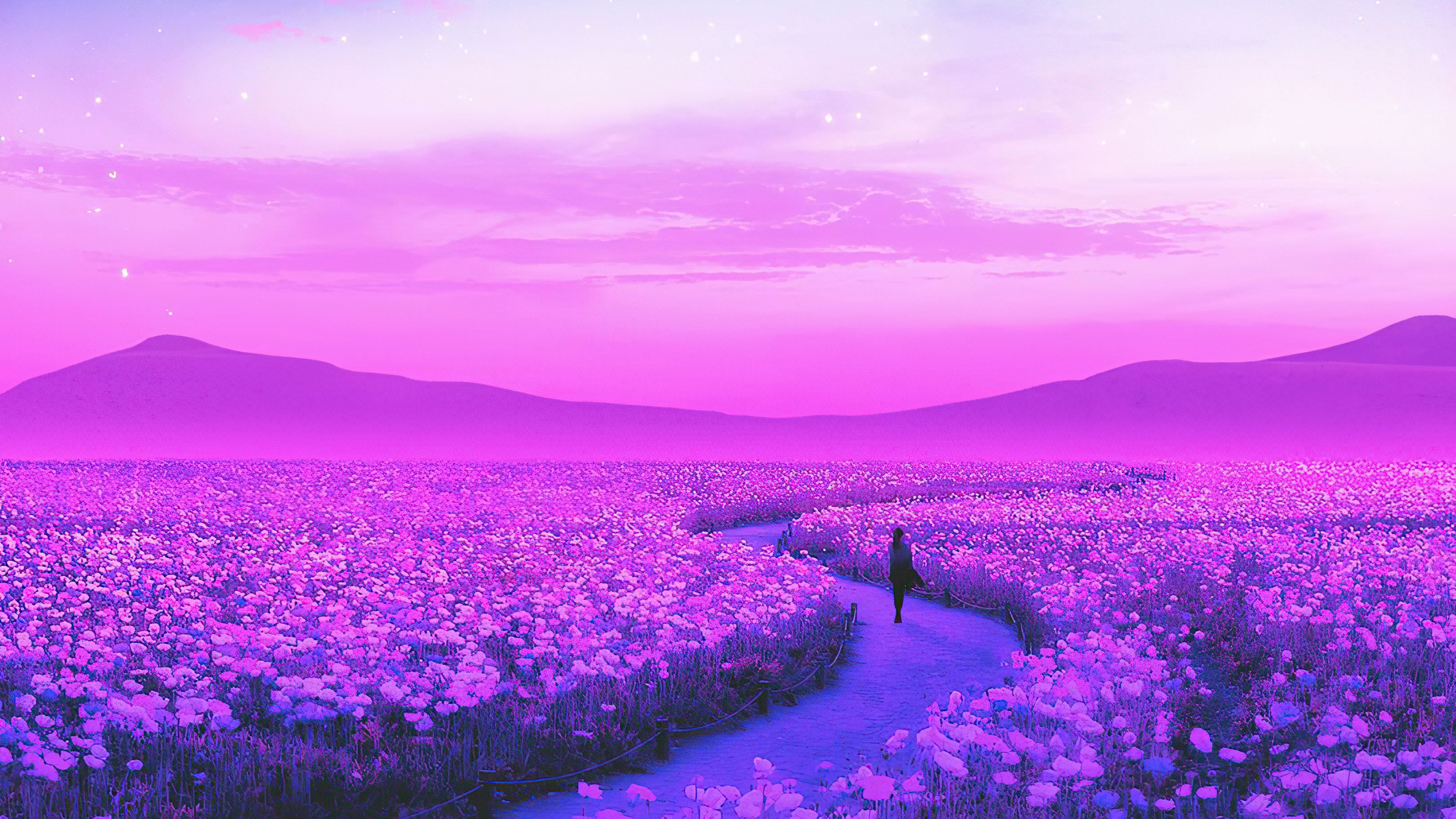 Beautiful Lavender FieldWallpapers