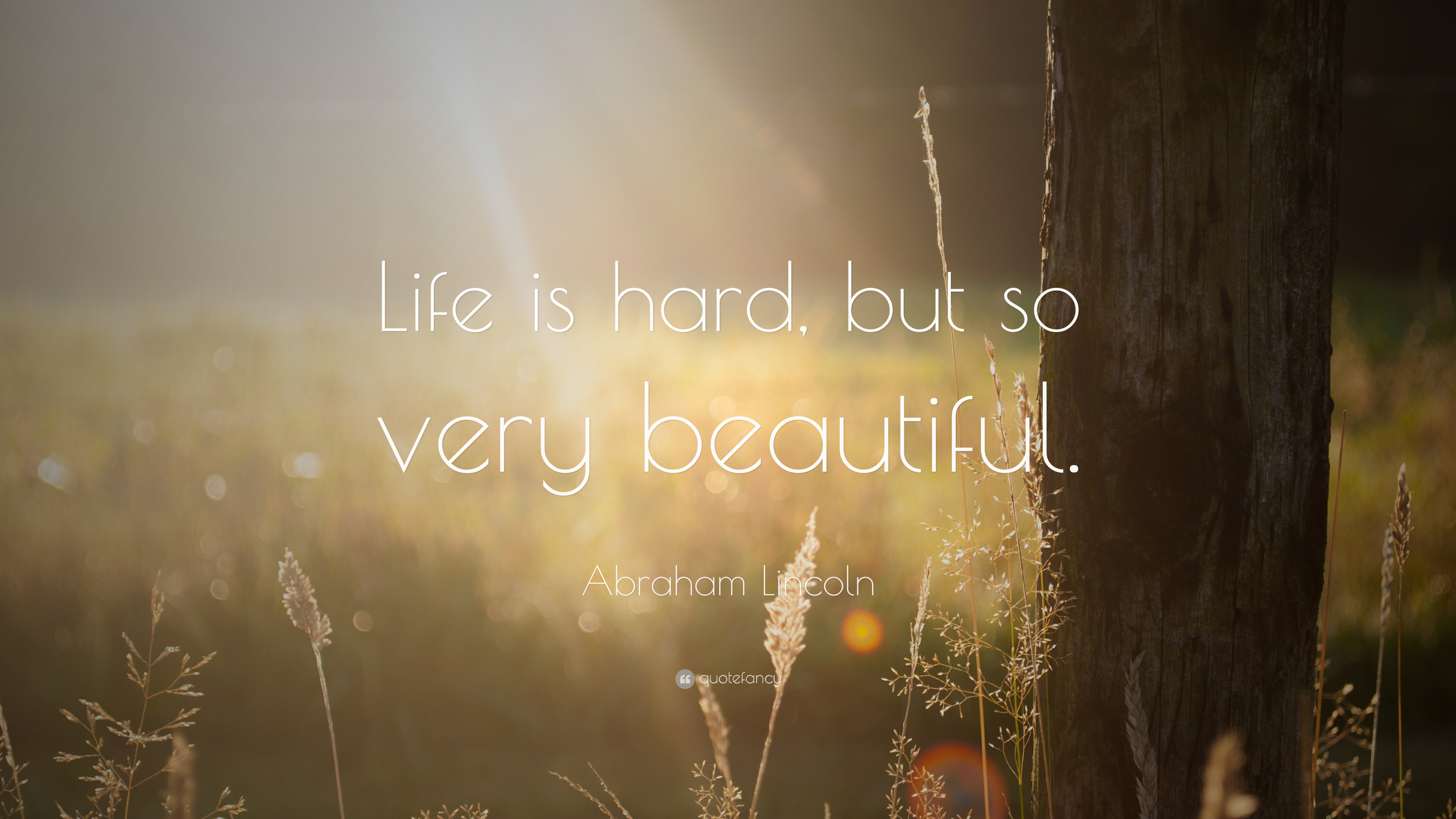 Beautiful Life Wallpapers