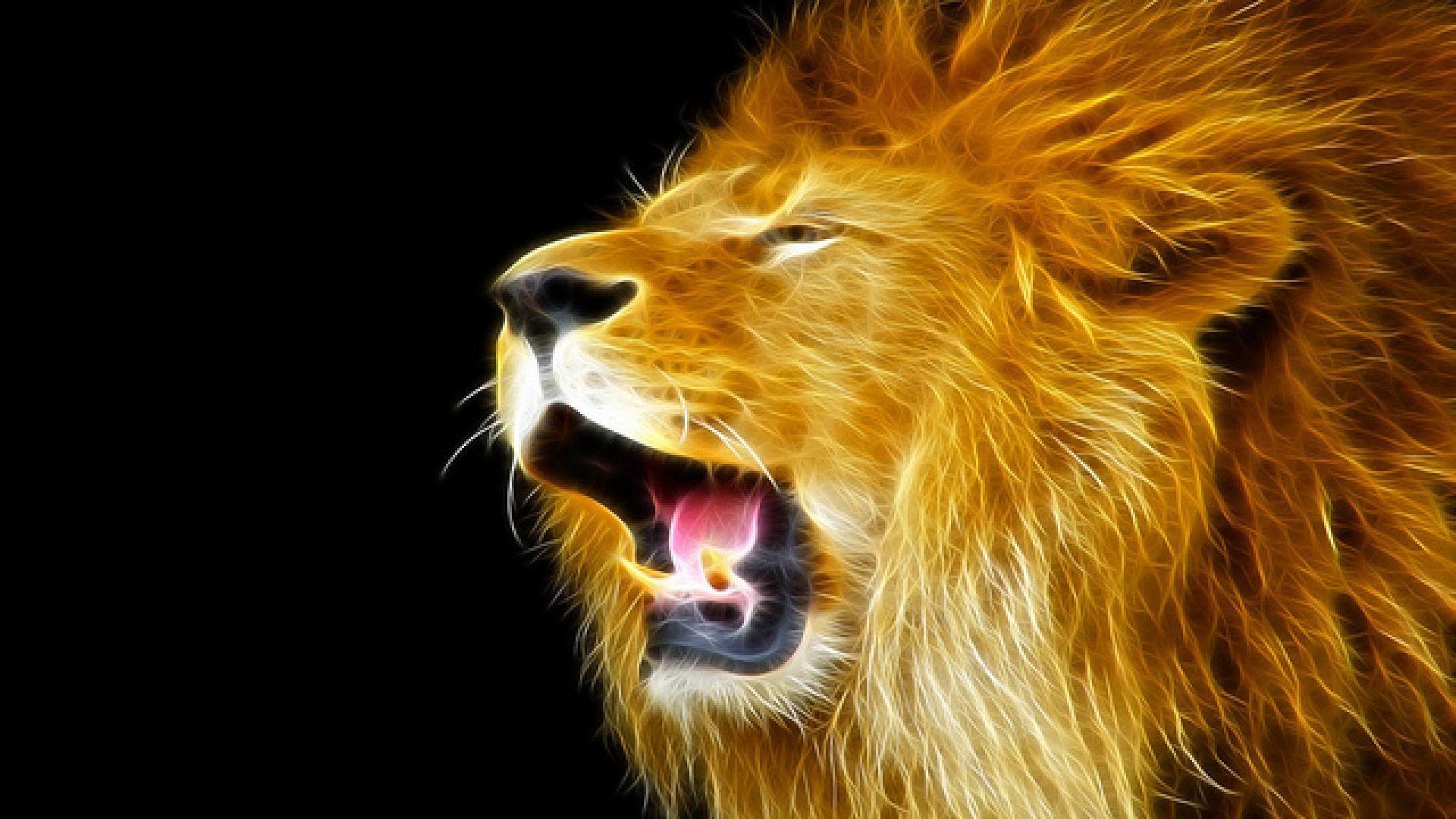 Beautiful Lions Wallpapers