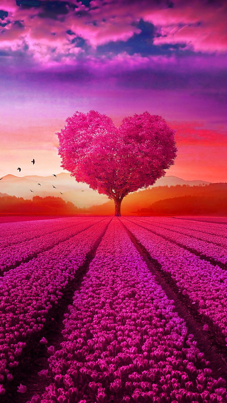 Beautiful Love Nature  Wallpapers