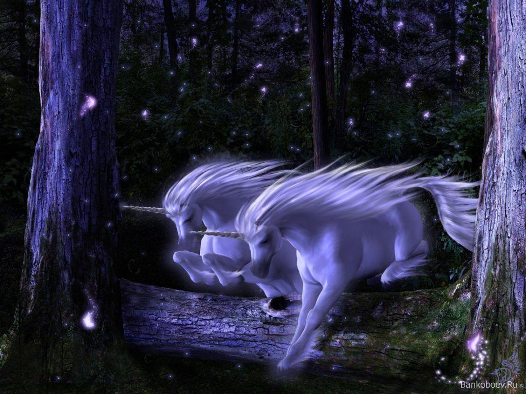 Beautiful Mythical Creatures Wallpapers