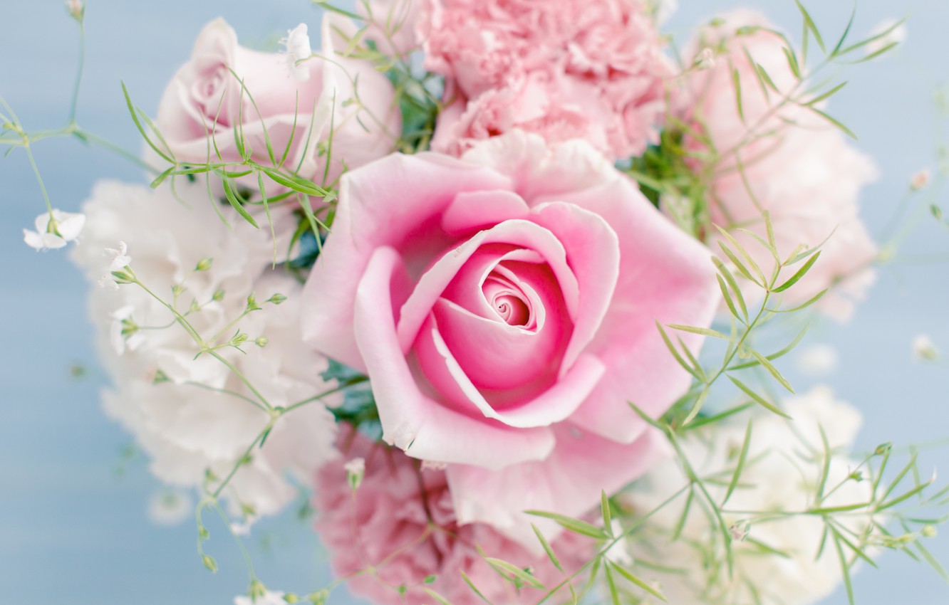 Beautiful Pink Flower Wallpapers