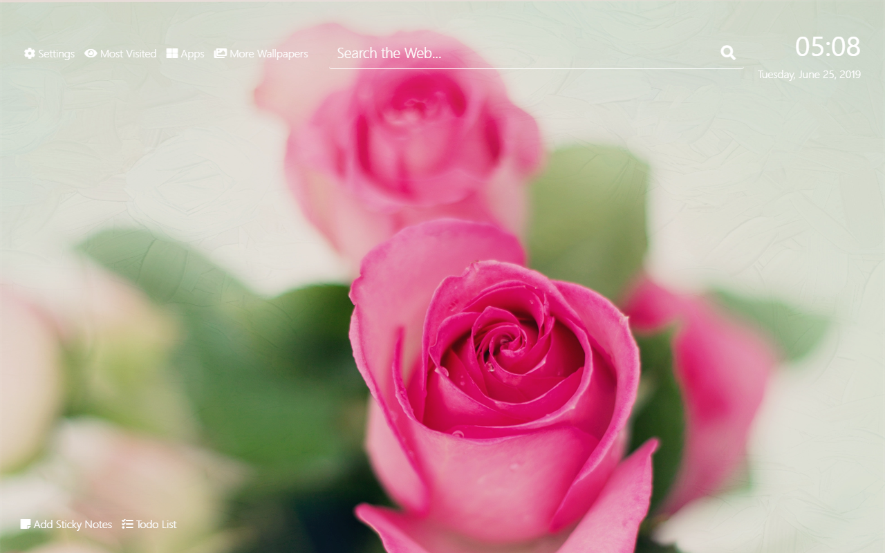 Beautiful Pink RosesWallpapers