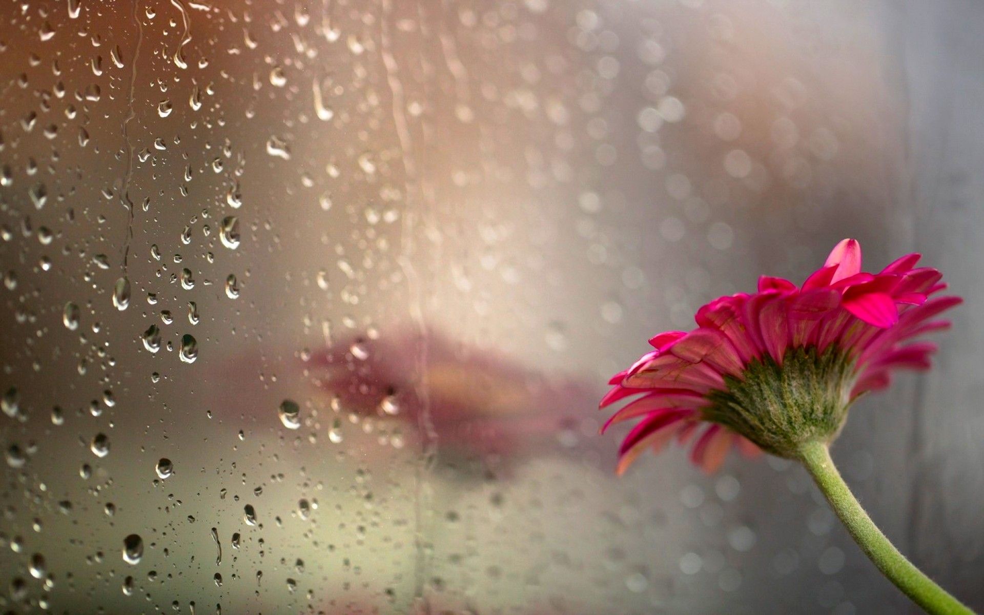 Beautiful Rain Wallpapers