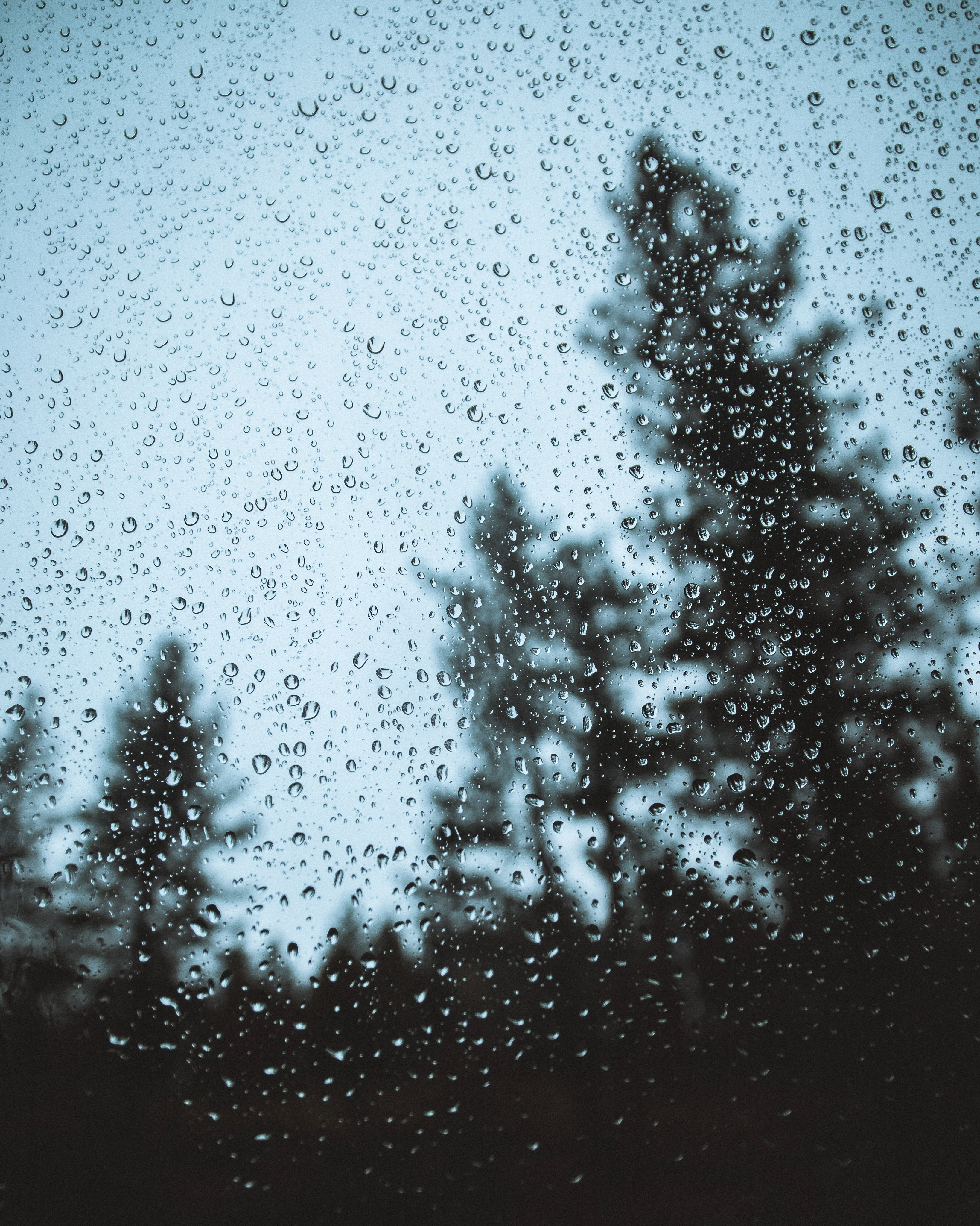 Beautiful Rain Wallpapers