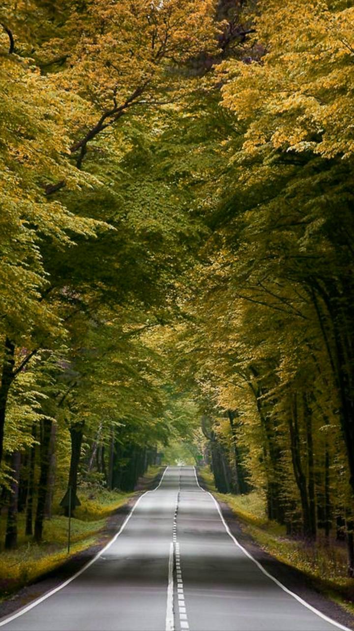 Beautiful Roads Wallpapers