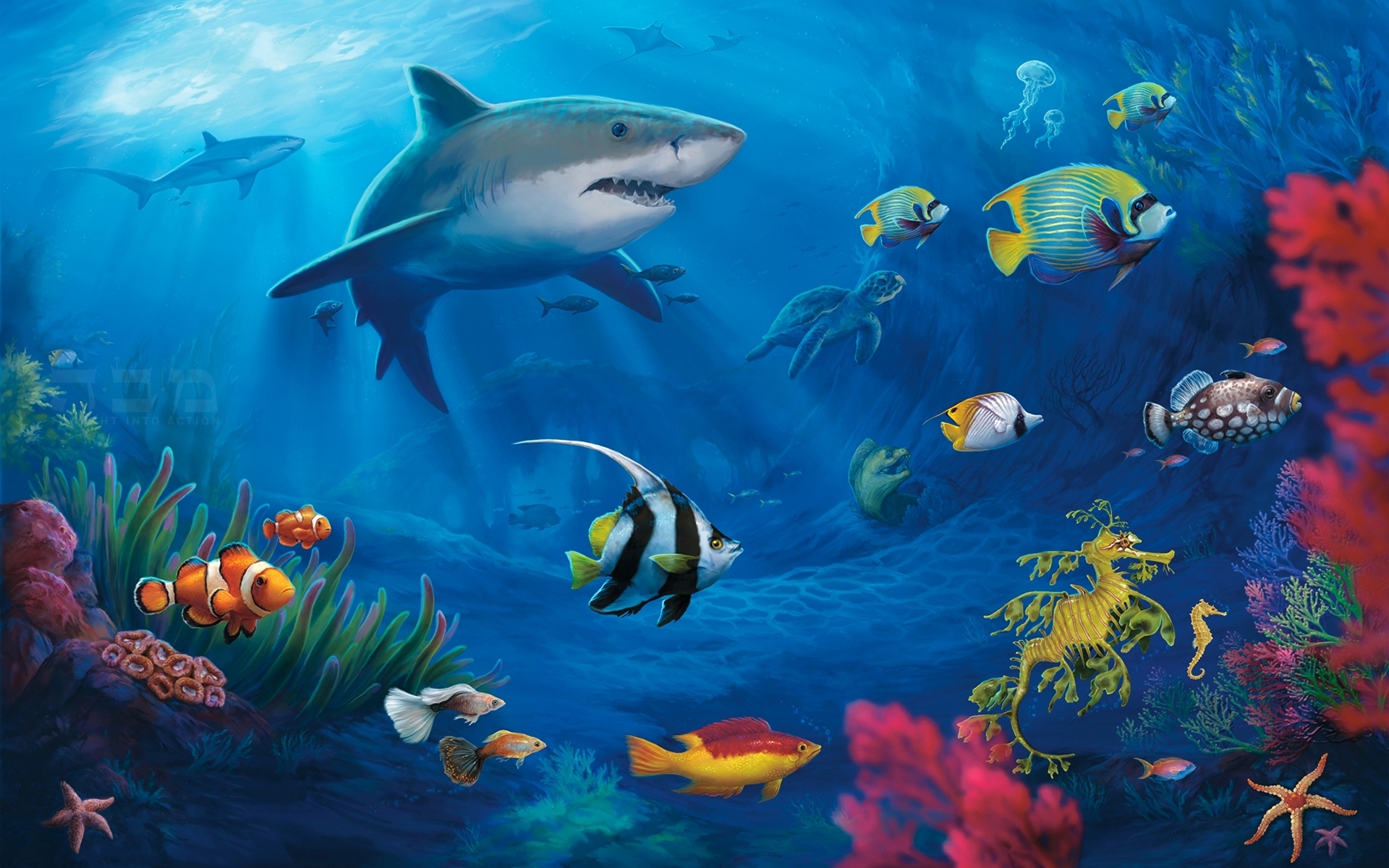 Beautiful Shark Wallpapers