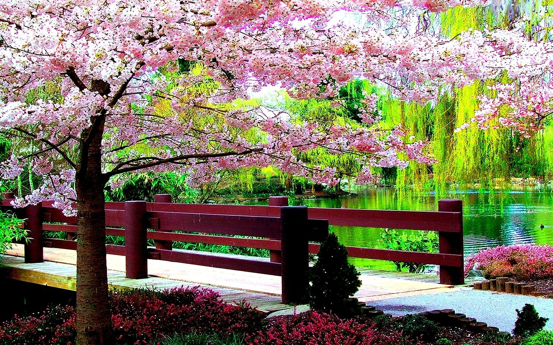 Beautiful Spring DesktopWallpapers