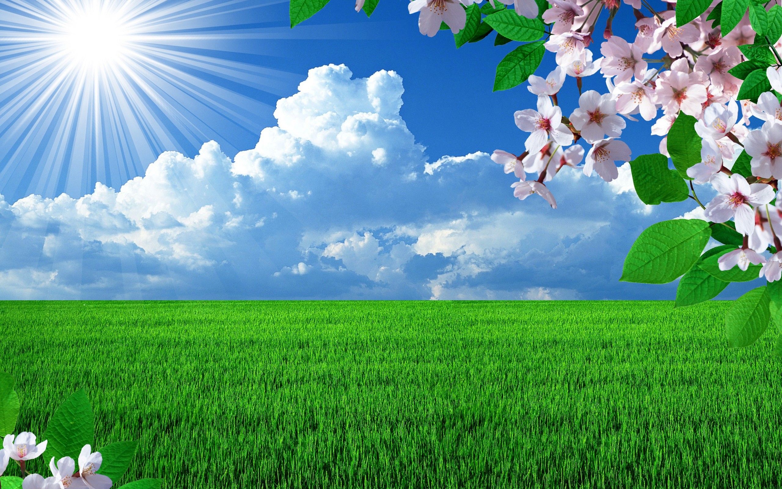 Beautiful Spring SceneryWallpapers