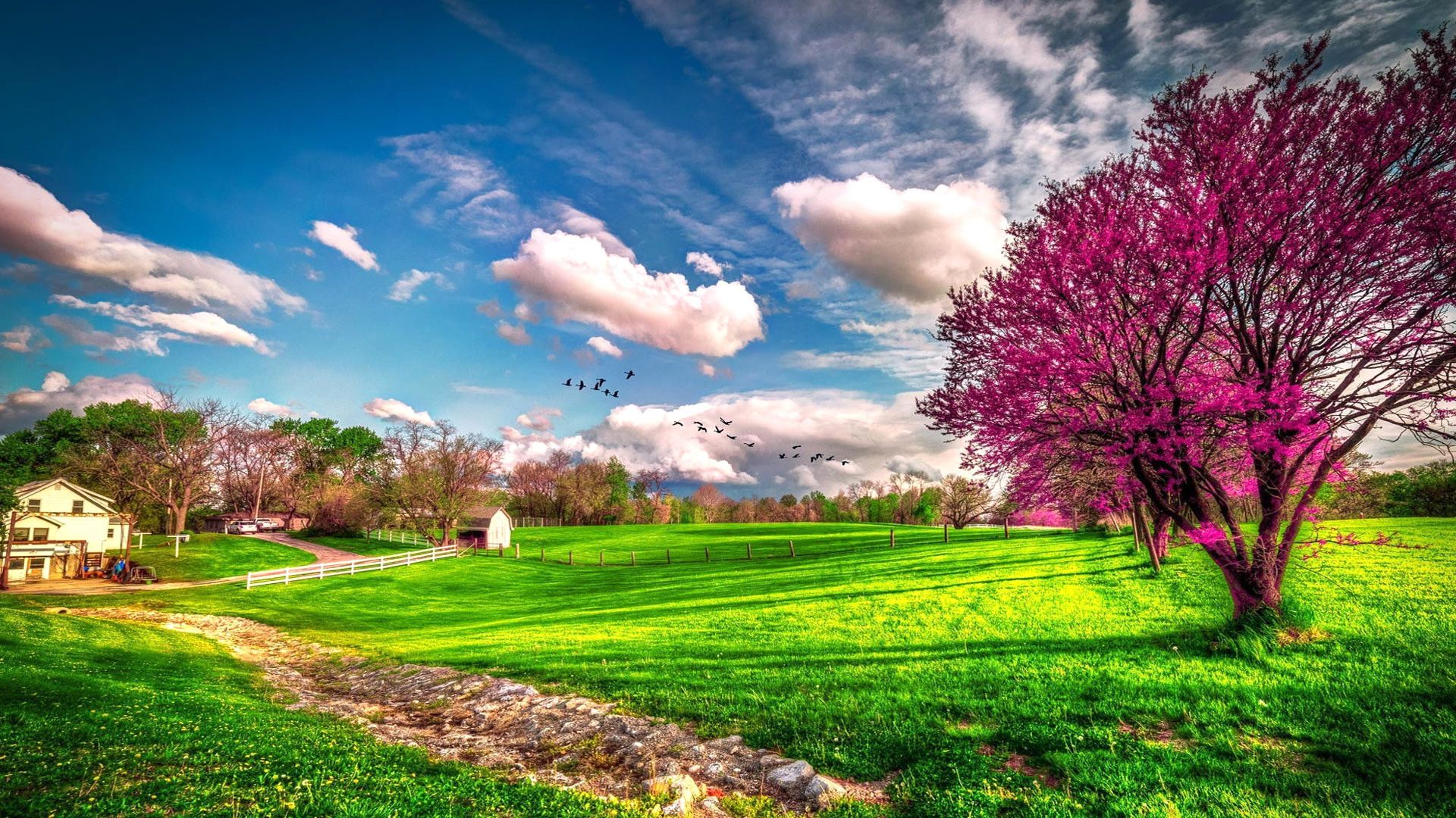 Beautiful Spring SceneryWallpapers