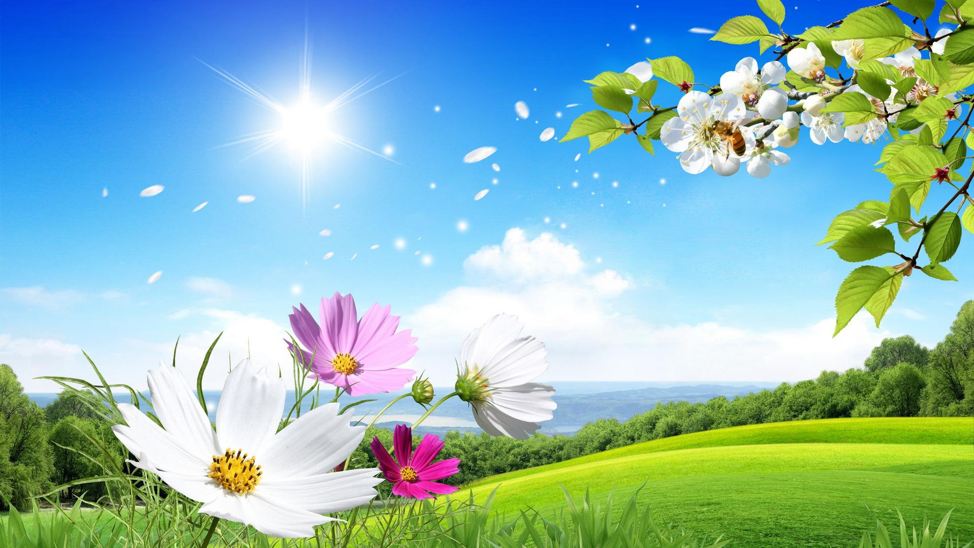 Beautiful Summer SceneryWallpapers