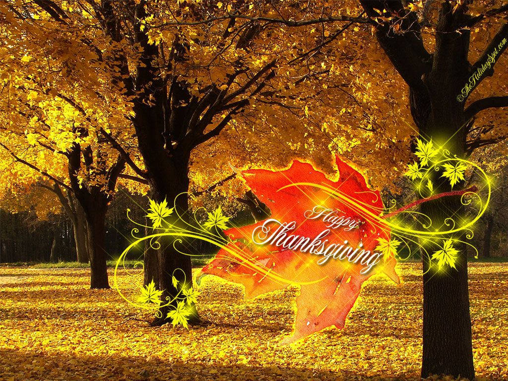 Beautiful Thanksgiving Wallpapers