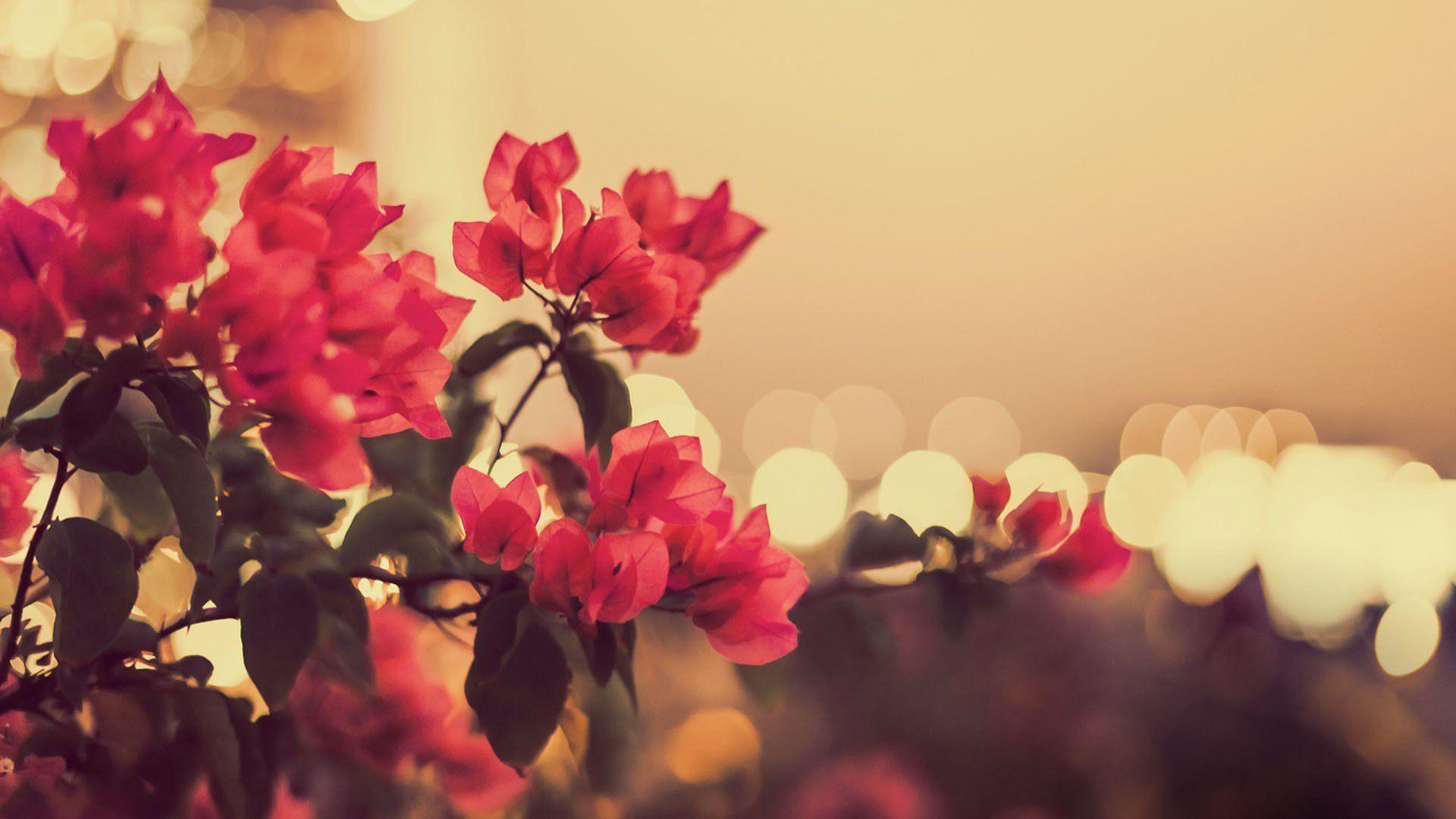 Beautiful Vintage Flower Wallpapers