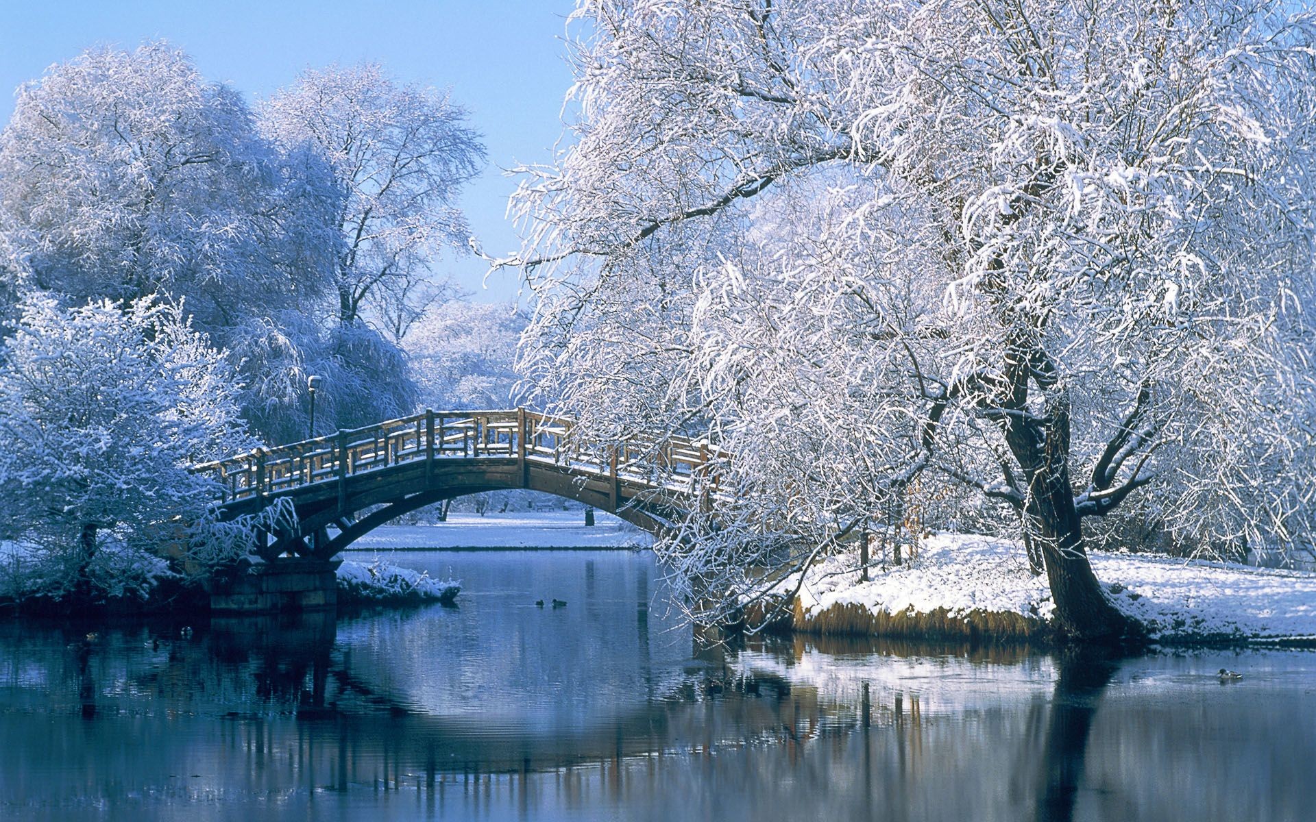 Beautiful Winter Wallpapers