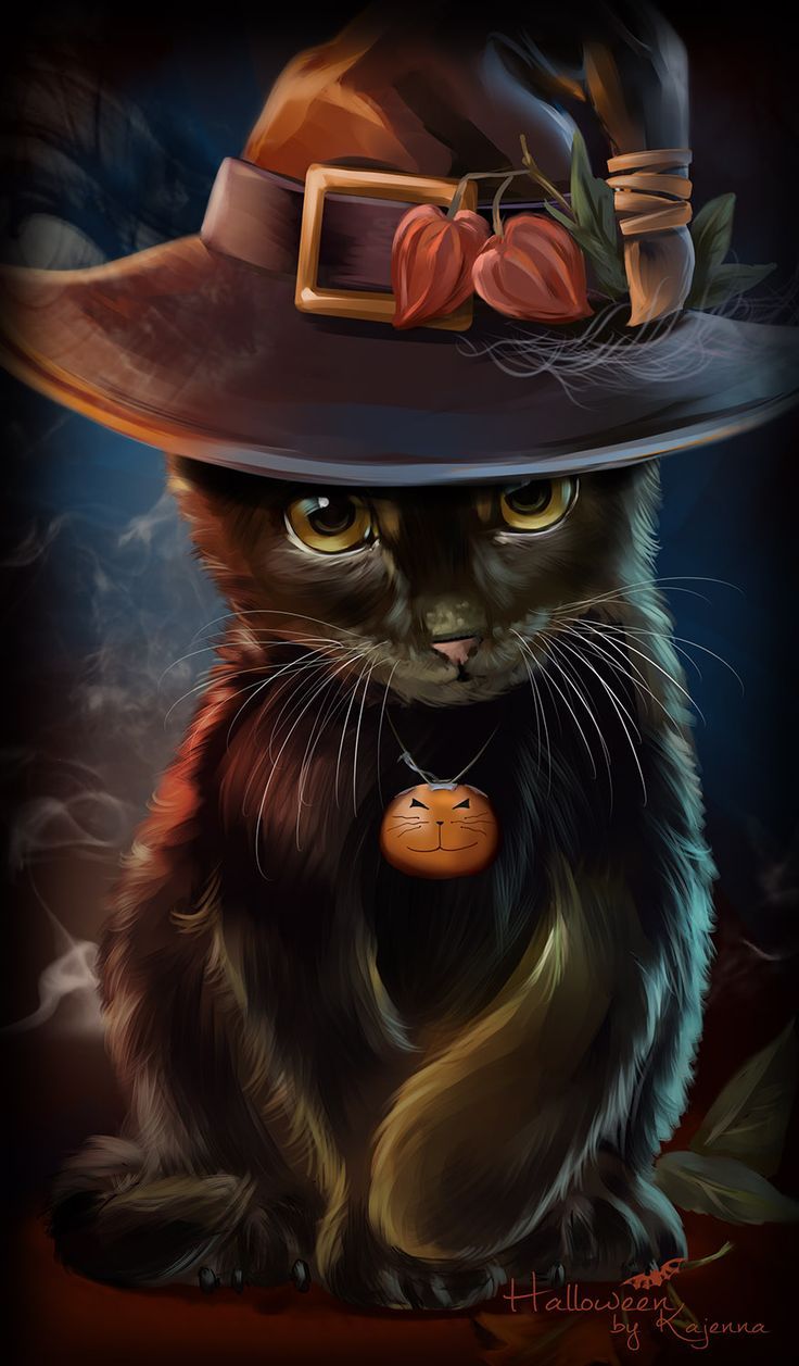 Beautiful Witch Cat Wallpapers