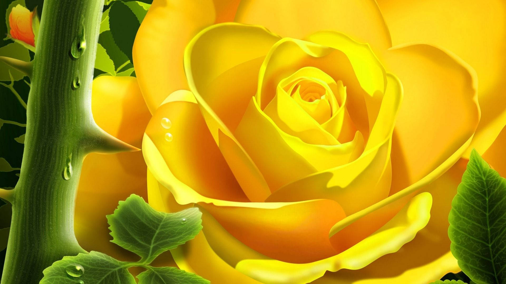 Beautiful YellowWallpapers