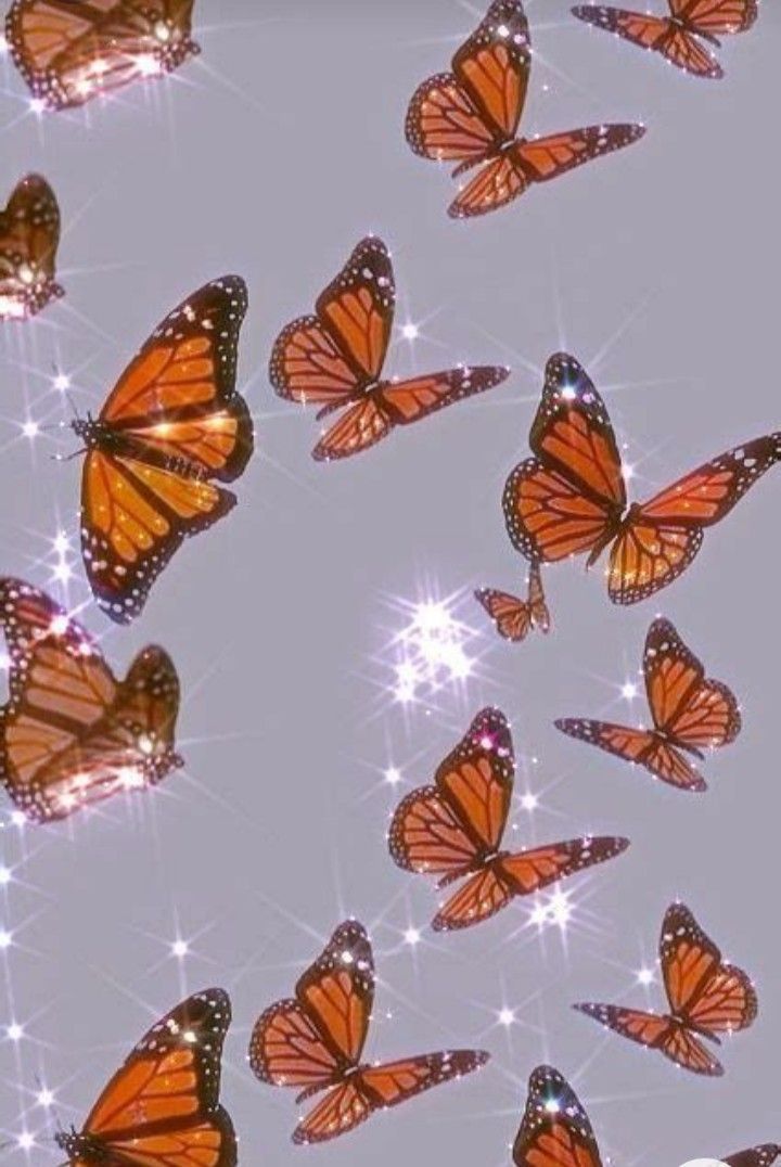 Cute Aesthetic ButterfliesWallpapers