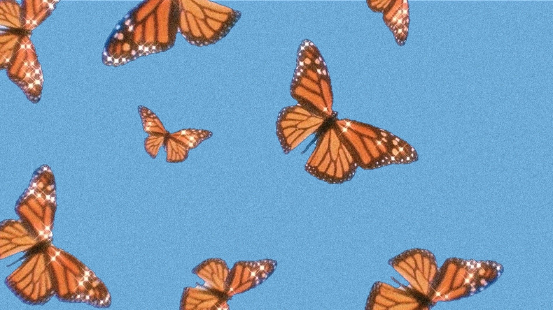 Cute Aesthetic ButterfliesWallpapers