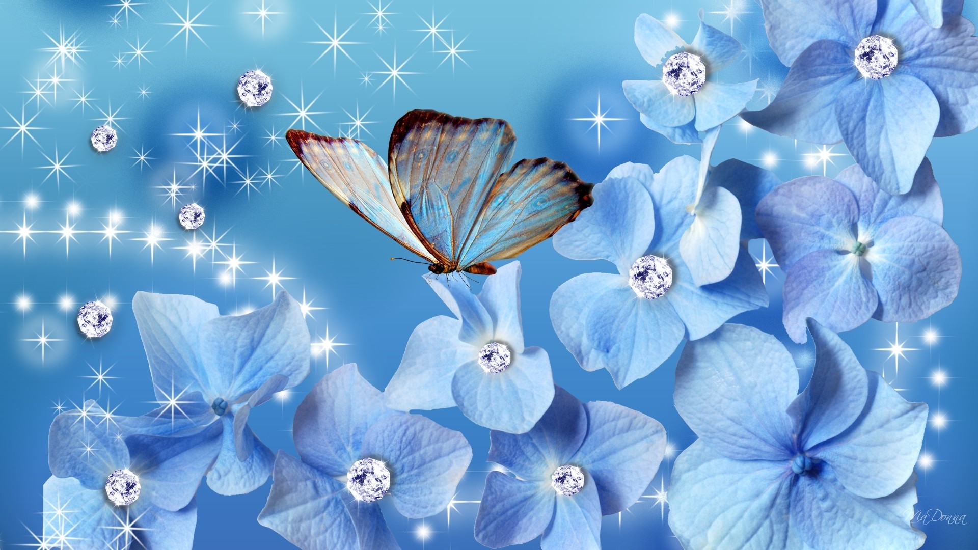 Cute Aesthetic ButterfliesWallpapers