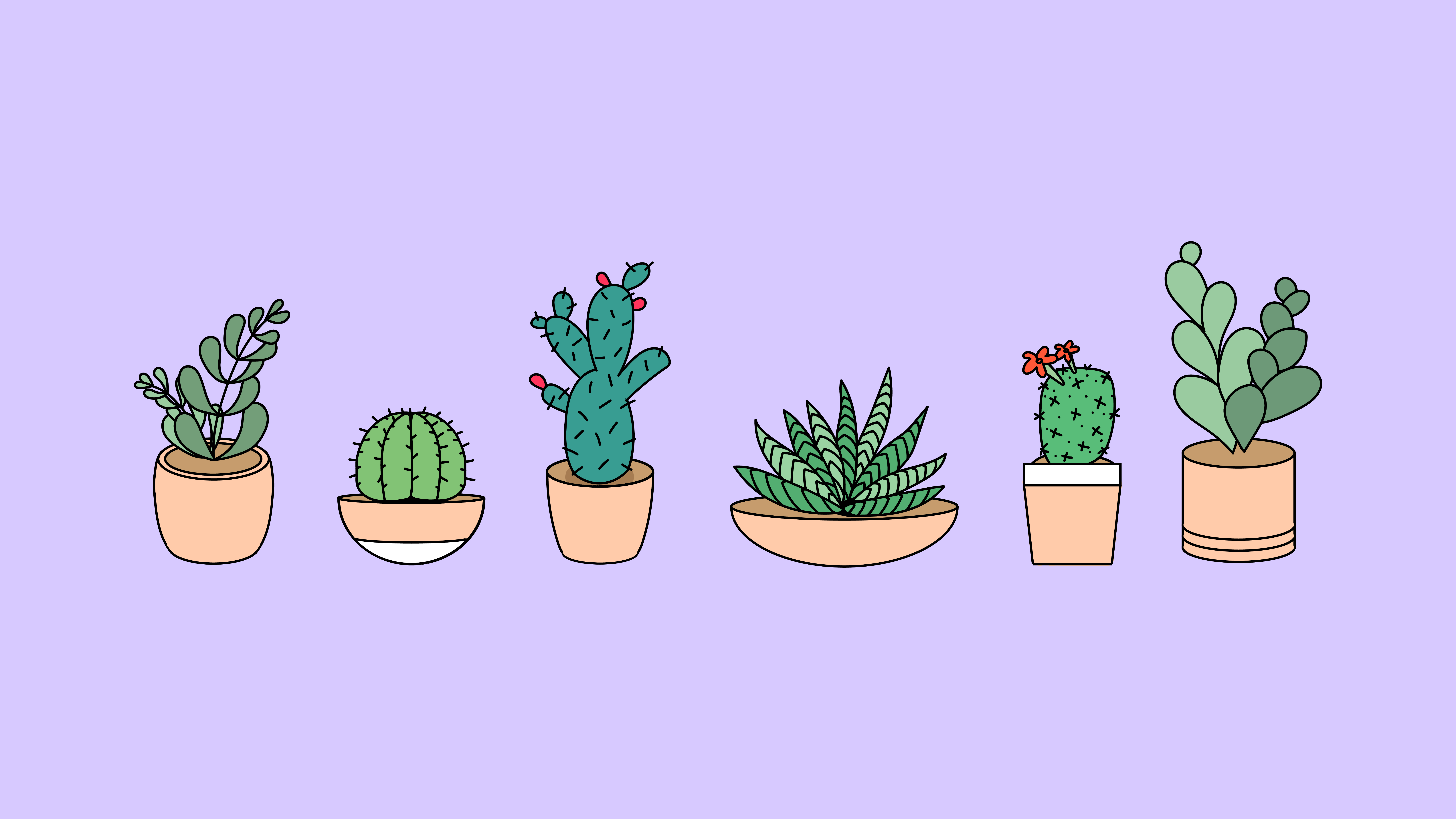 Cute Aesthetic PlantWallpapers