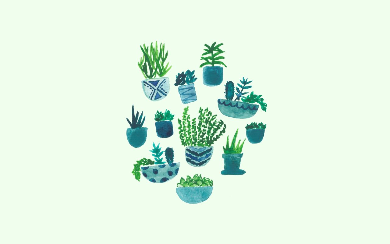 Cute Aesthetic PlantWallpapers