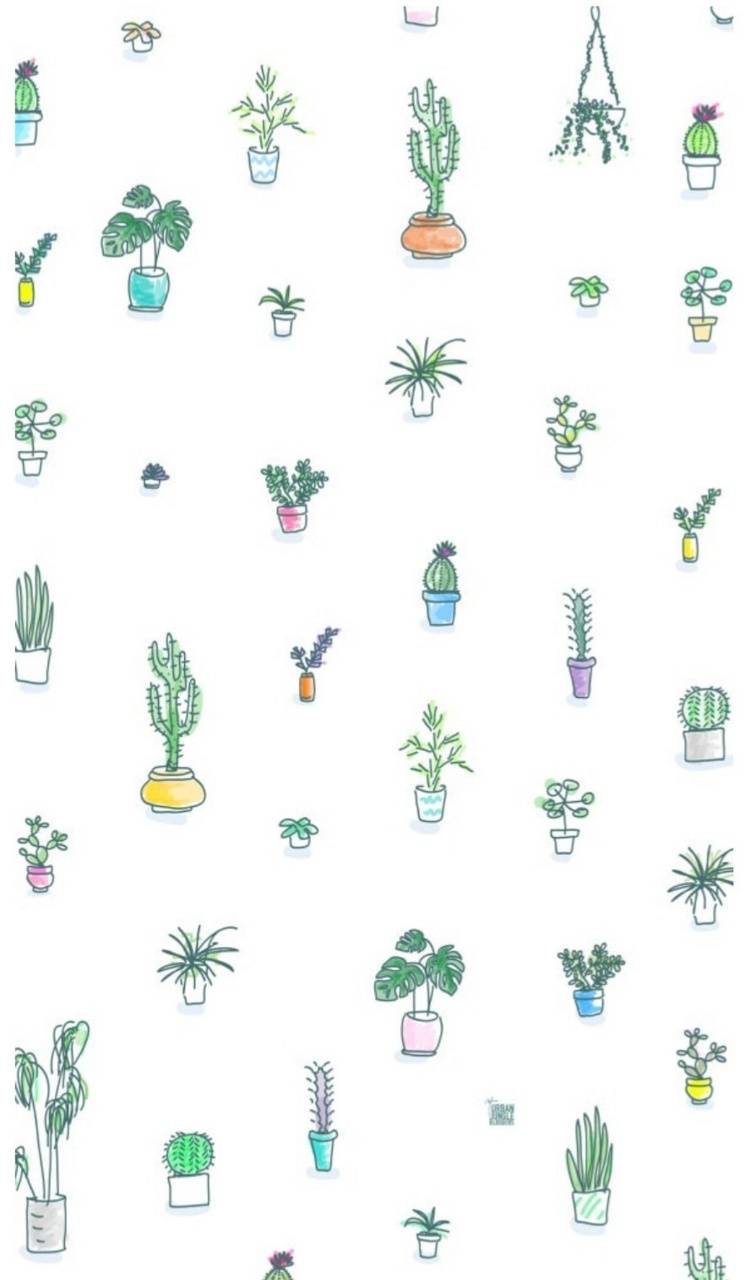 Cute Aesthetic PlantWallpapers