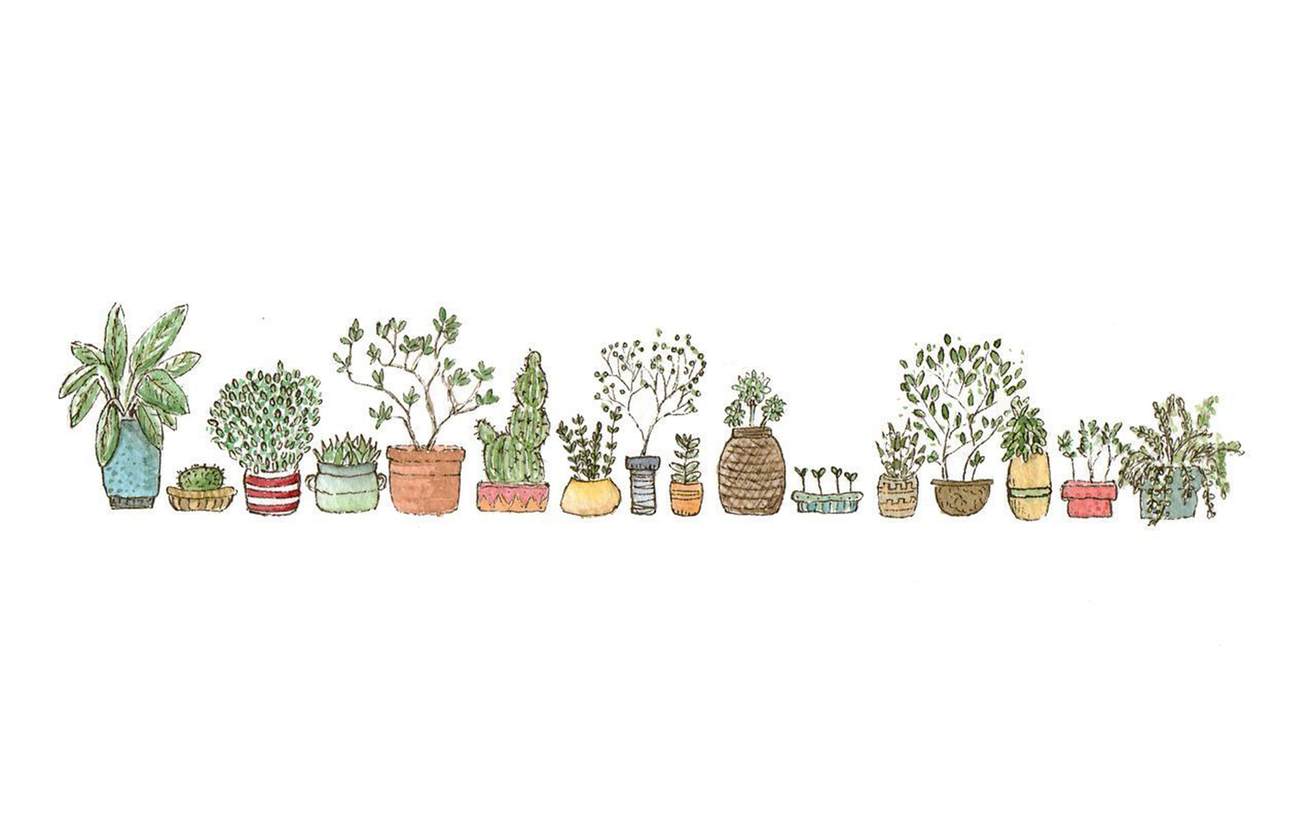 Cute Aesthetic PlantWallpapers