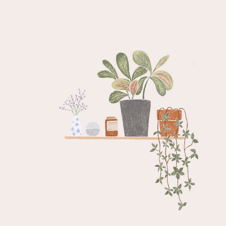 Cute Aesthetic PlantWallpapers