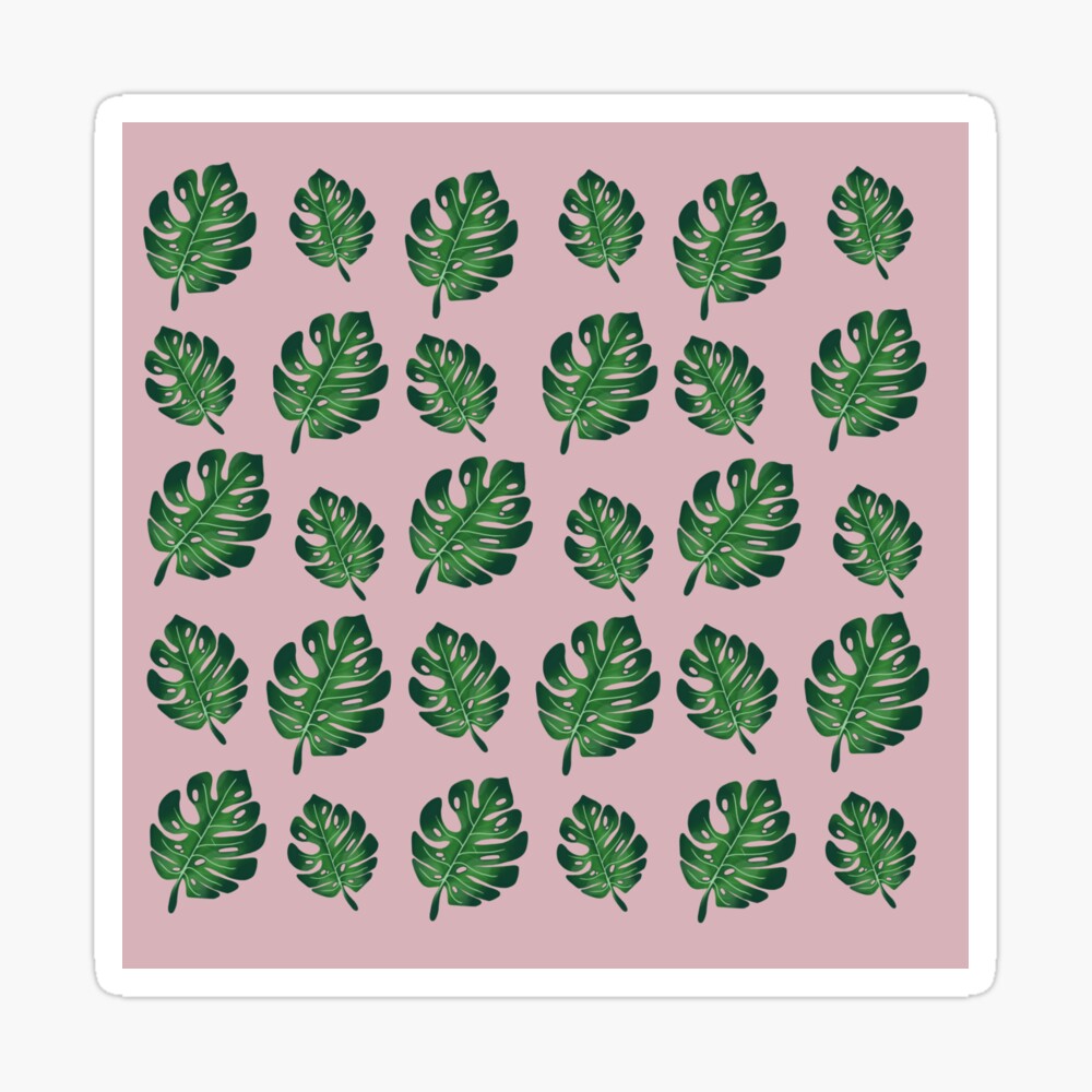 Cute Aesthetic PlantWallpapers