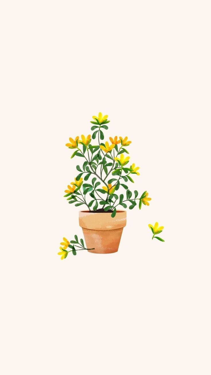 Cute Aesthetic PlantWallpapers