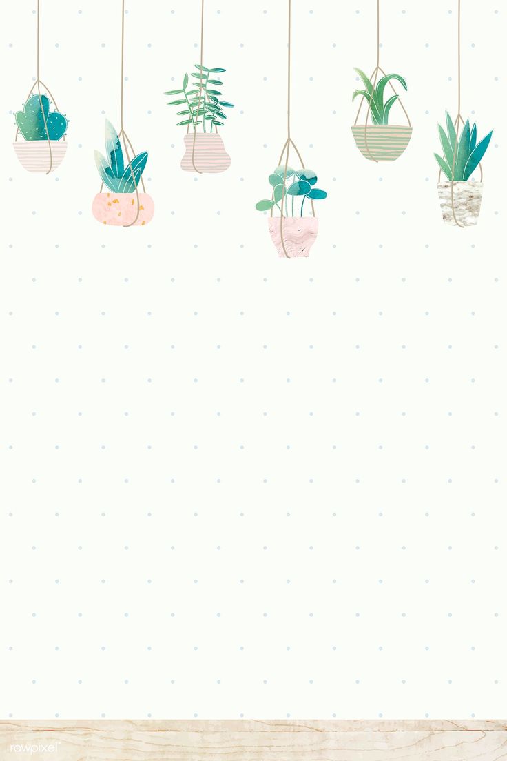 Cute Aesthetic Succulent Wallpapers