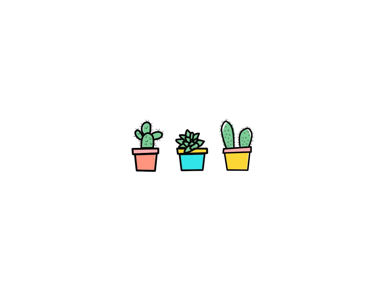 Cute Aesthetic Succulent Wallpapers