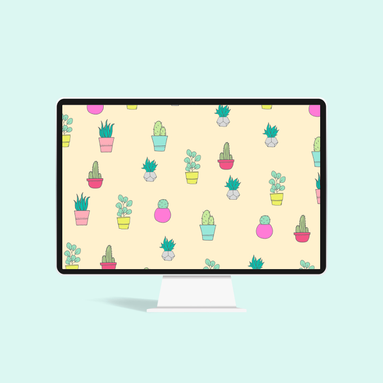 Cute Aesthetic Succulent Wallpapers