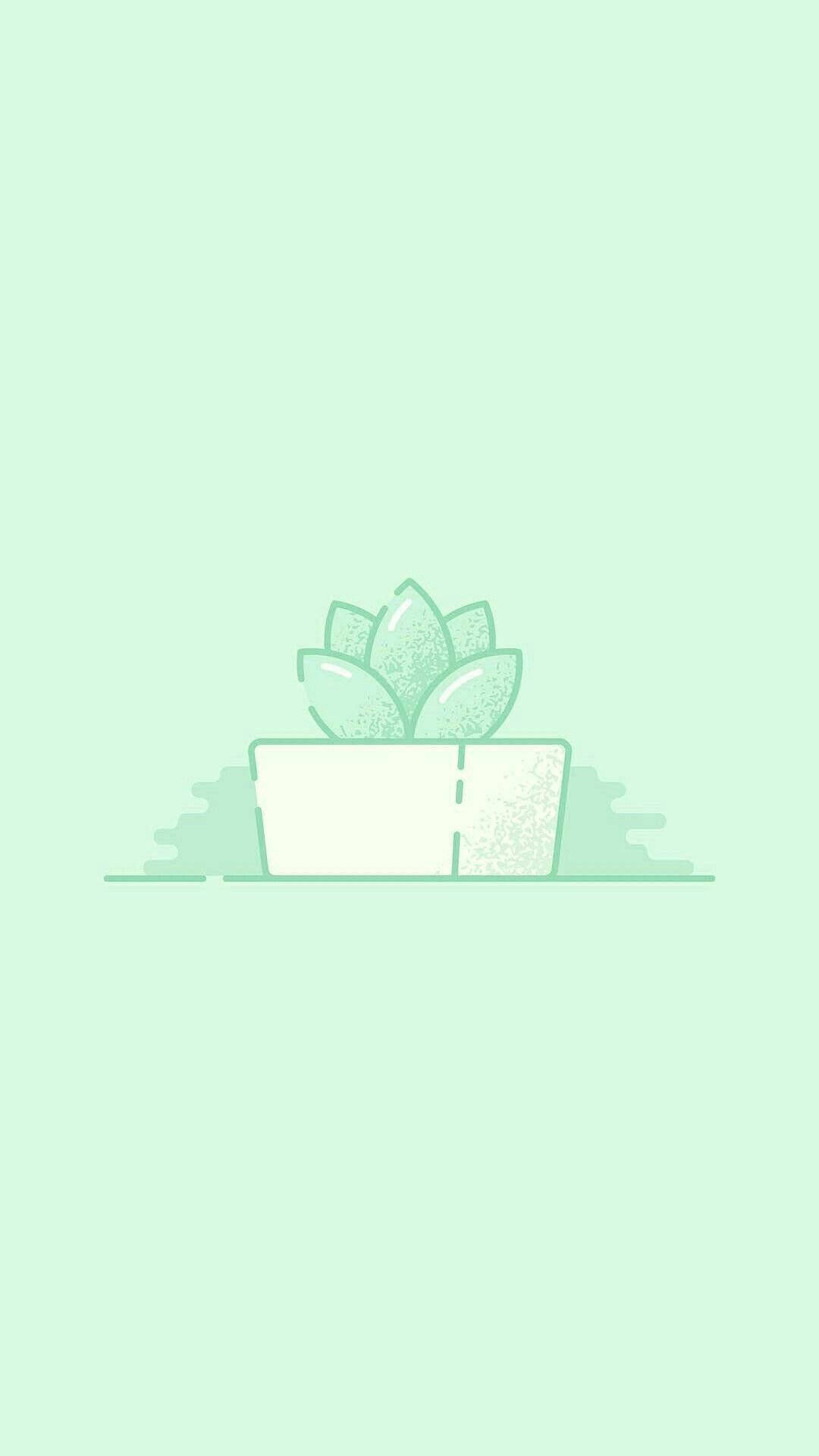 Cute Aesthetic Succulent Wallpapers