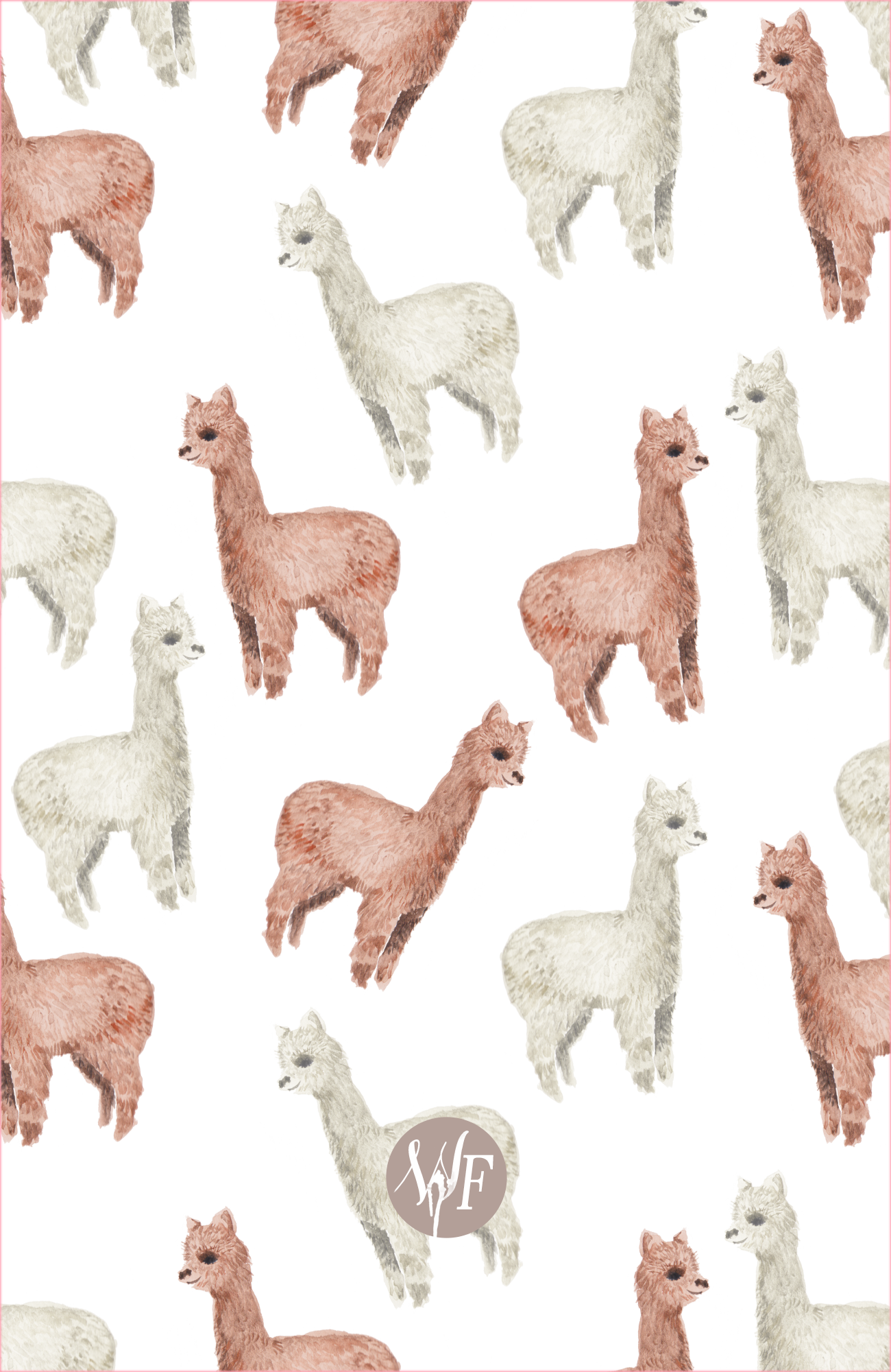 Cute Alpaca Wallpapers