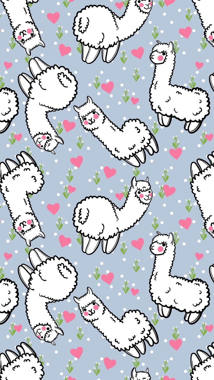 Cute Alpaca Wallpapers