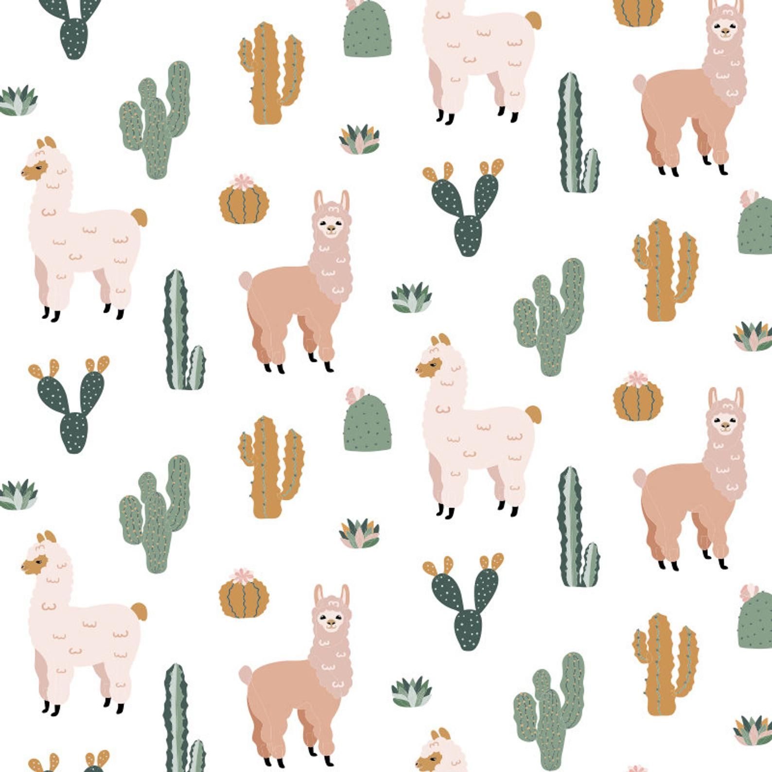 Cute Alpaca Wallpapers