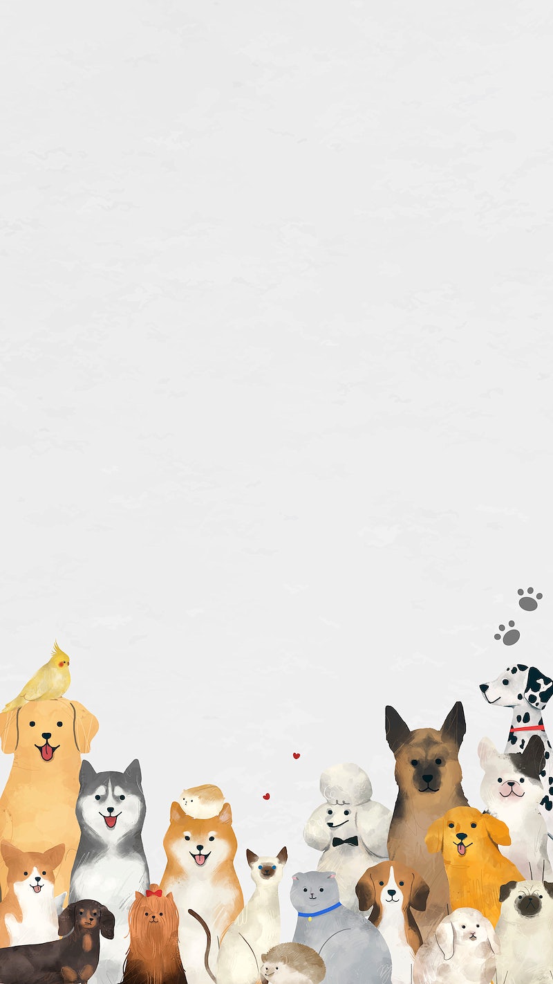 Cute Animal Iphone Wallpapers