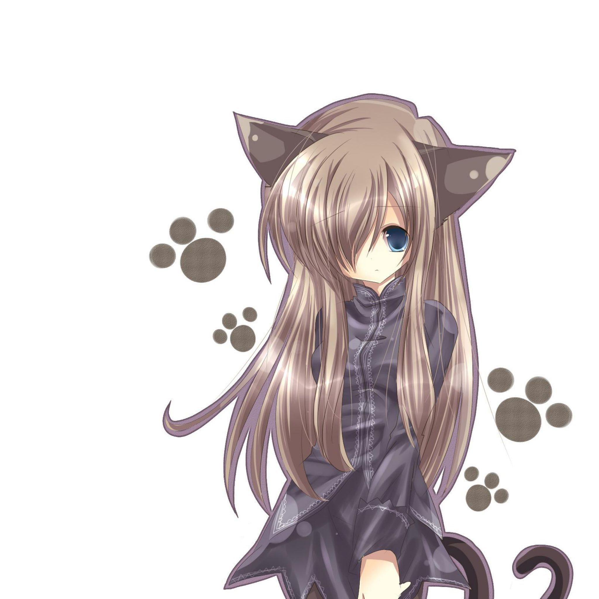 Cute Anime Cat Girl Wallpapers