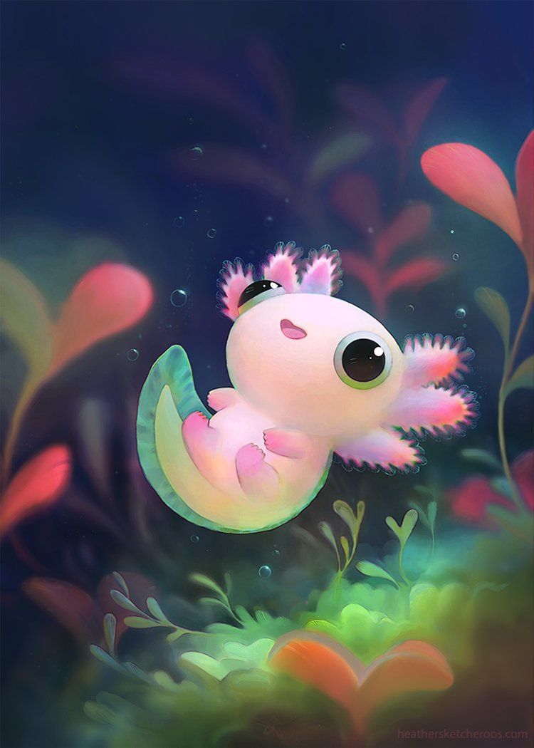 Cute AxolotlWallpapers